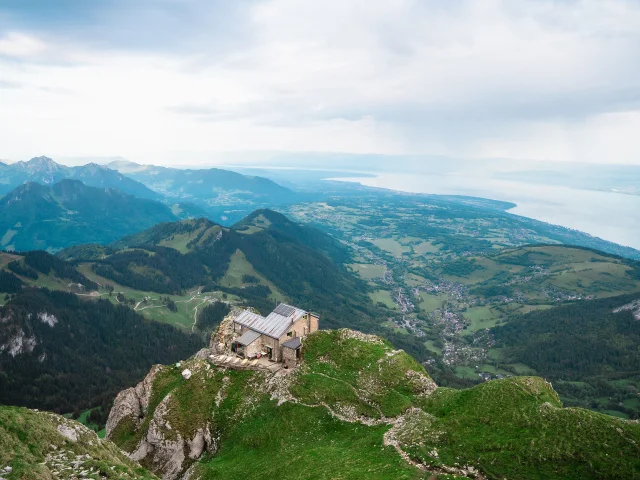 Dent D'Oche