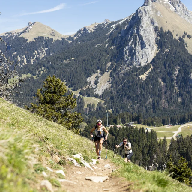 Trail Mont Baron