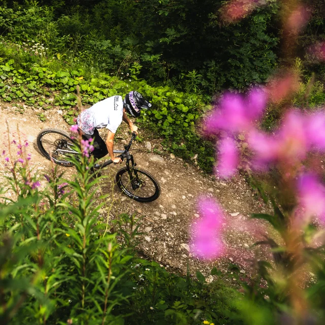 Bike Park Bernex