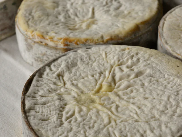 Vacherin Affinage 035® Patrick Brault