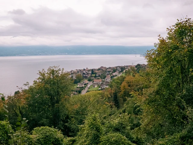 Hauteurs de Saint Gingolph Automne