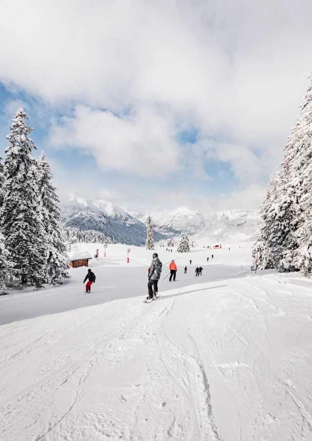 Châtel - Portes du Soleil